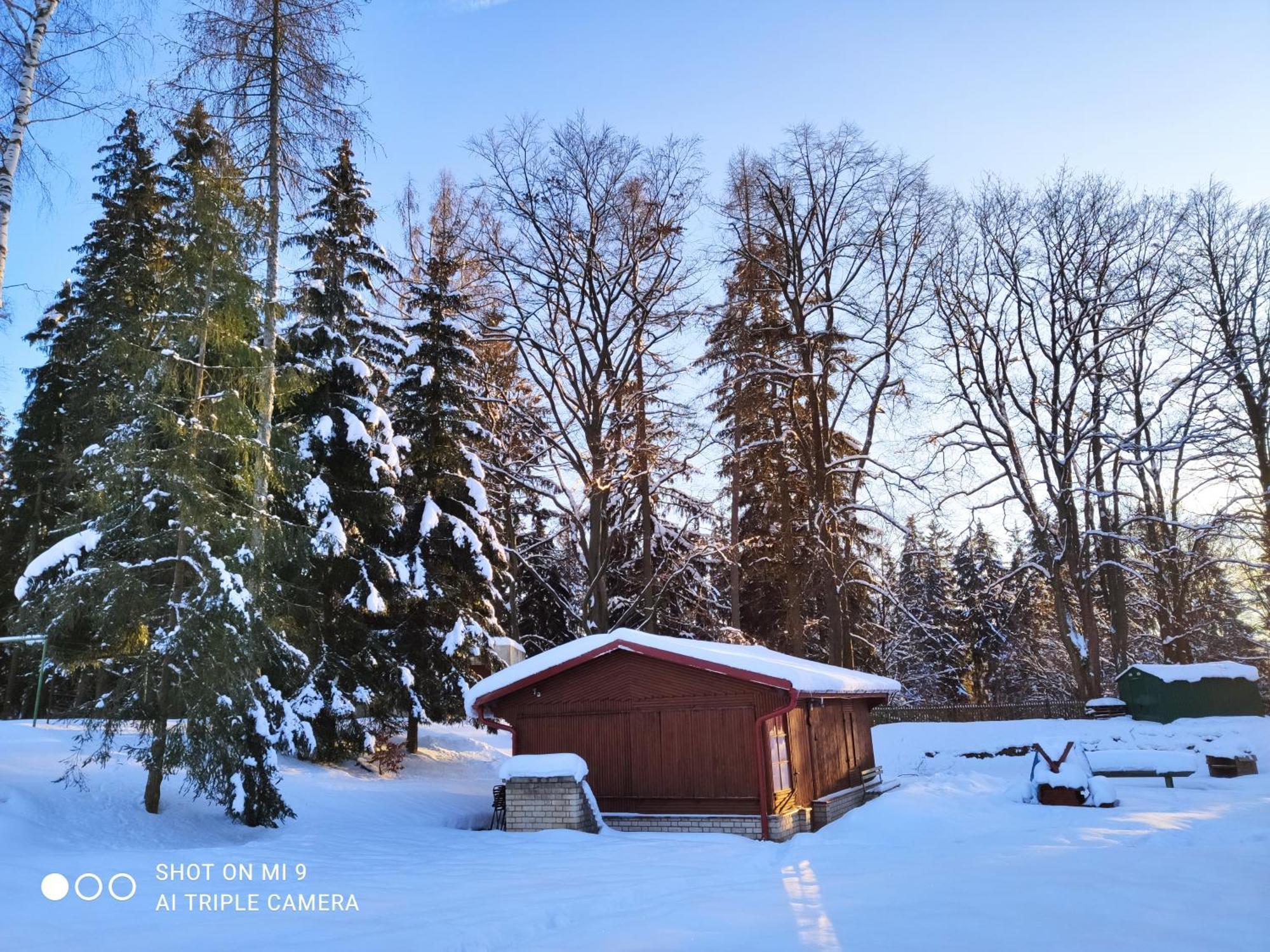 Lesní chaty Hogo Fogo Kytlice Exterior foto