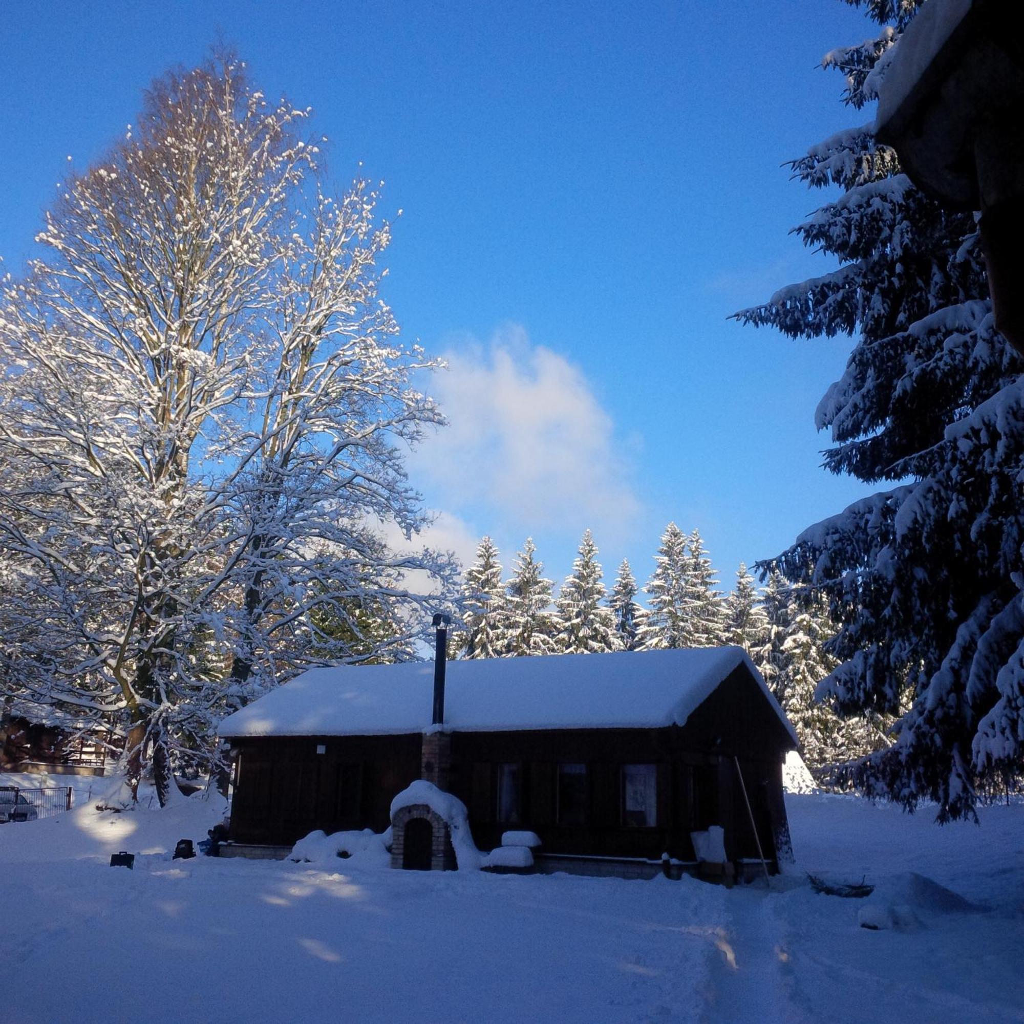 Lesní chaty Hogo Fogo Kytlice Exterior foto