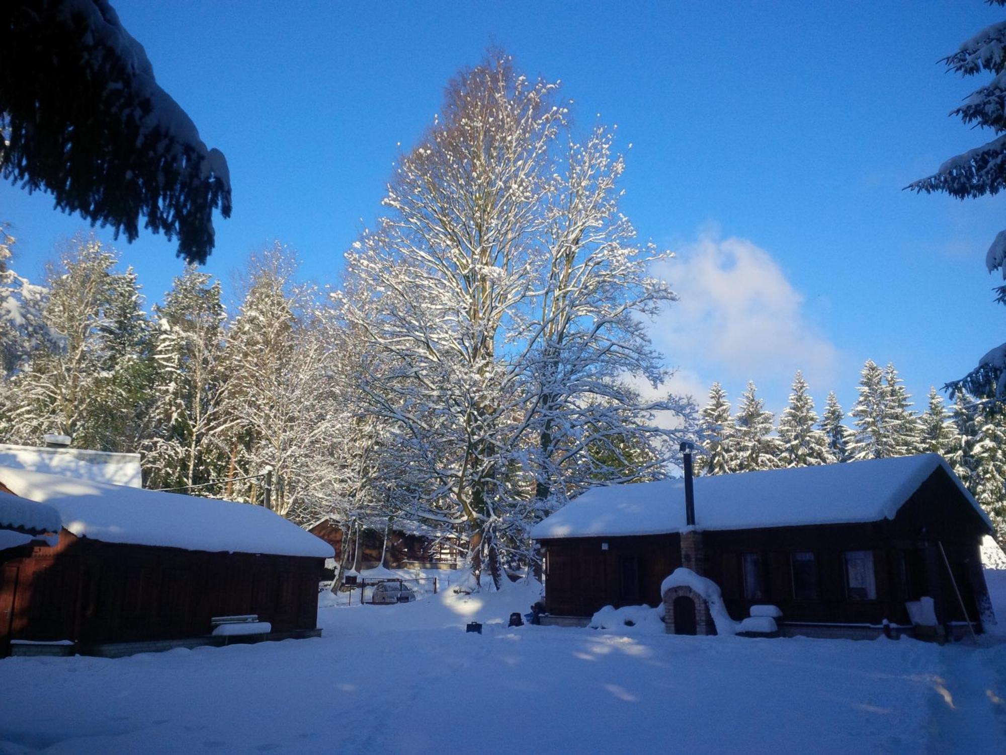 Lesní chaty Hogo Fogo Kytlice Exterior foto
