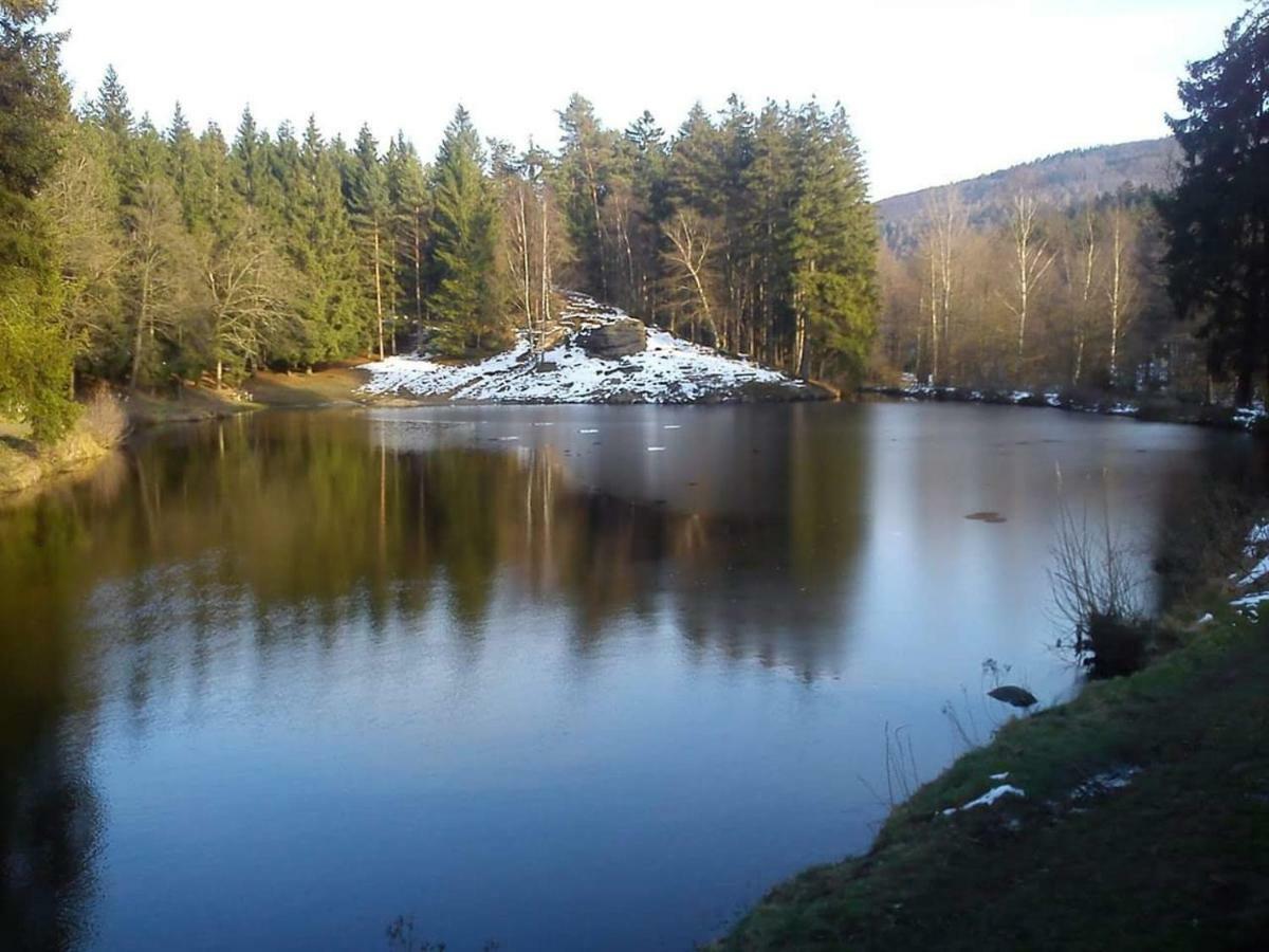 Lesní chaty Hogo Fogo Kytlice Exterior foto